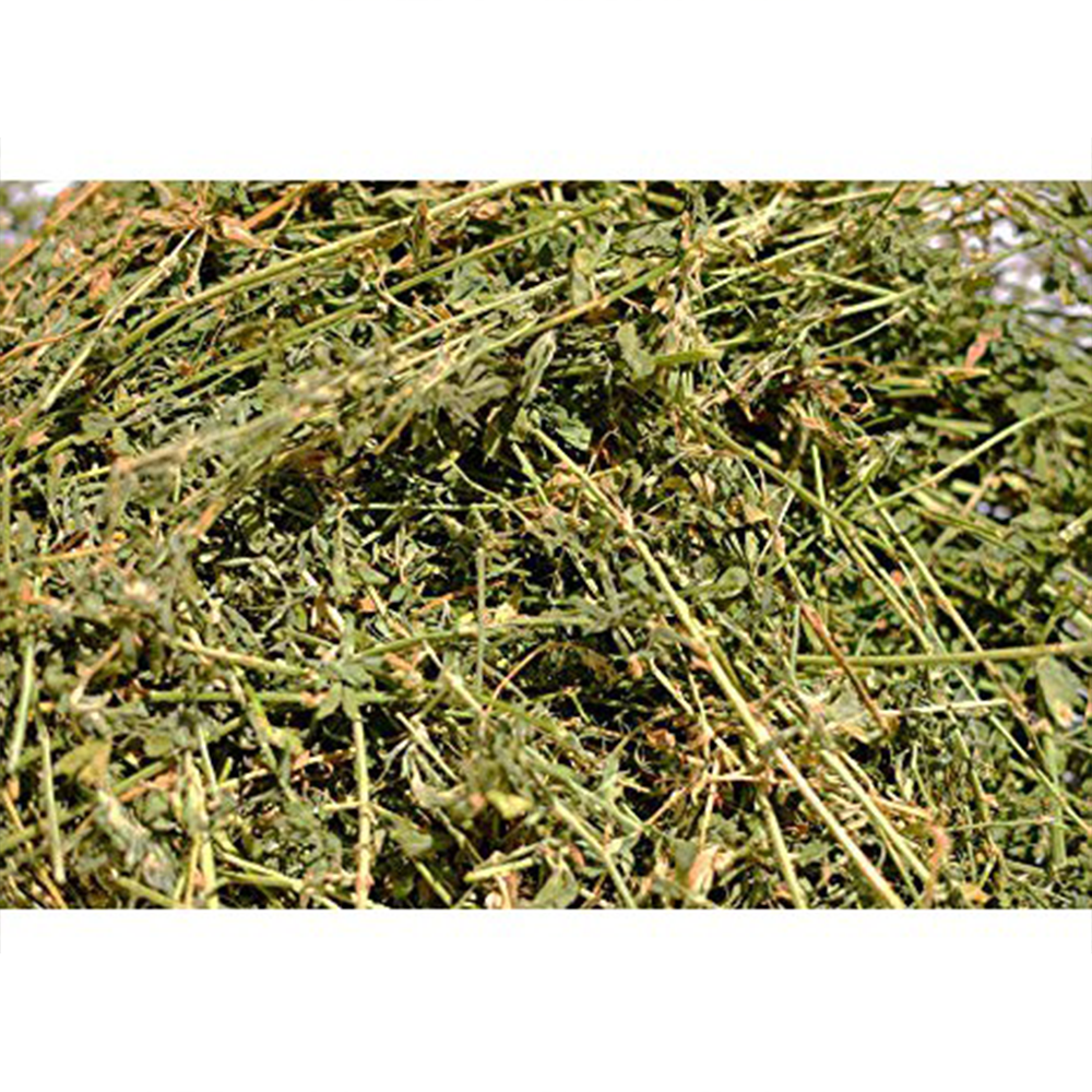 TIMOTHY HAY / ALFALFA HAY 500g for guinea pig/rabbits Makanan Guinea