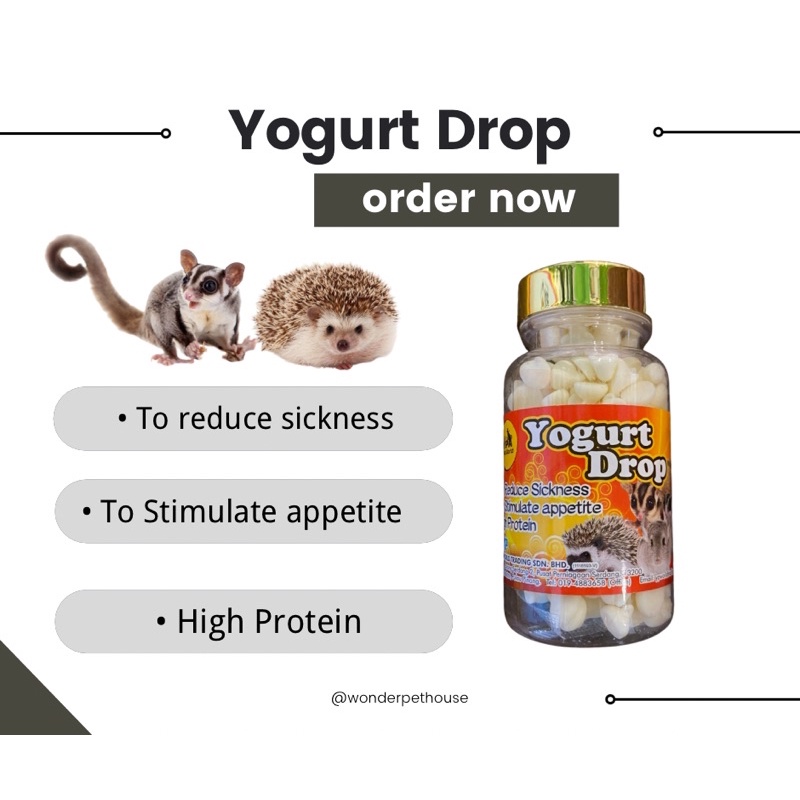 YPA Yogurt Drop Sugar Glider Hedgehog 50gram Wonder House